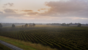 AOP Armagnac ©Qualité Landes