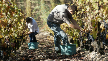 AOP "Bugey" ©V. Bernard