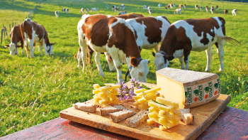 Comté ©CIGC / Jean-Pierre Van Der Elst 
