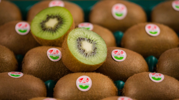 Kiwi de l'Adour IGP / Label Rouge ©Qualité Landes