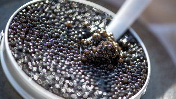 IGP "Caviar d'Aquitaine" ©Michaël Boudot