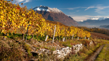 Cruet secteur Combe de Savoie - AOP Savoie ou vin de Savoie ©CIVS & Laurent Madelon