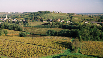 AOP "Premières Côtes de Bordeaux" ©Maison des vins de Cadillac