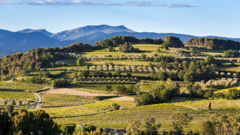 Paysage Côtes du Rhône