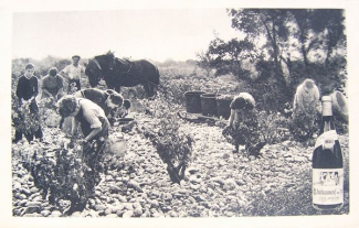 Châteauneuf-du-Pape