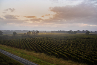 AOP Armagnac ©Qualité Landes