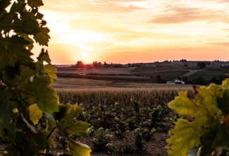 Armagnac Floc de Gascogne ©Qualité Landes