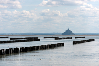 AOP Moules de bouchot de la Baie du Mont-Saint-Michel ©Comité AOP Moules de Bouchot de la baie du Mont-St-Michel