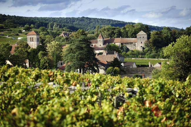 Photographie d'un vignoble de Bourgogne ©BIVB, Michel joly