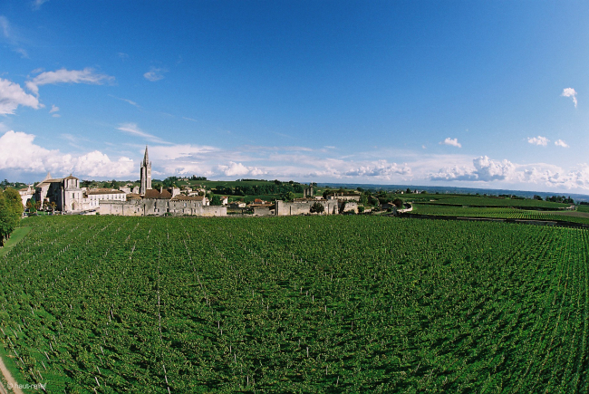 Vignoble AOP "Saint-Émilion" ©CIVB