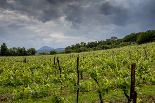 IGP Puy-de-Dôme ©Pierre Soissons