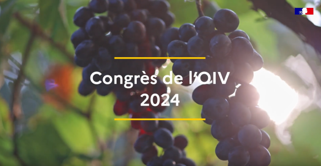 Congrès de l'organisation internationale de la vigne et du vin (OIV) à Dijon