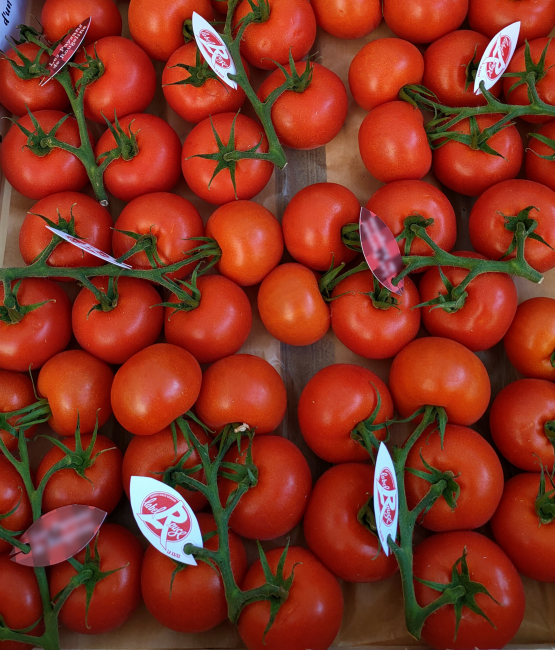 Label Rouge "Tomate de bouche"