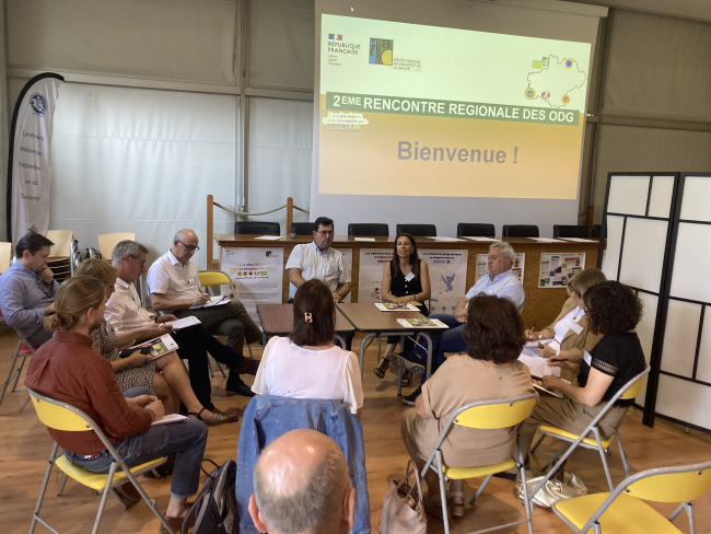 Photographie des ateliers organisées dans le cadre de la rencontre régionale des ODG organisée le 18 juin 2025 à Toulouse. 