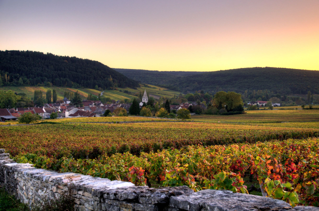 Vignes d'Auxey-Duresses