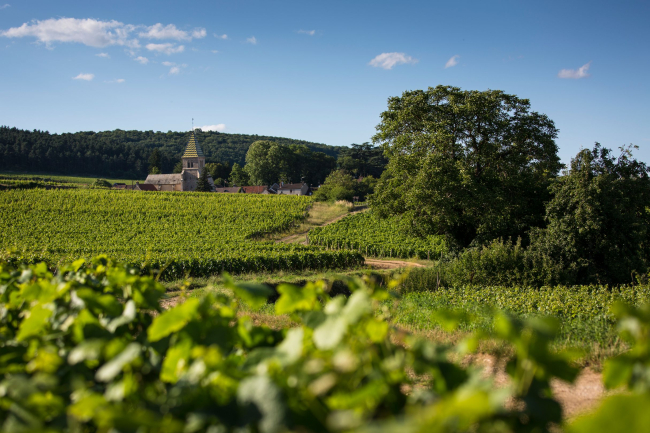 Côtes du Rhône Villages