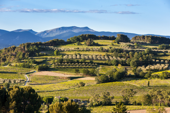 Paysage Côtes du Rhône